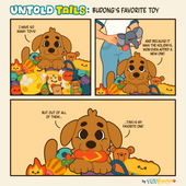 Ep 8 Untold Tails: Budong's Favorite Toy