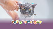 Does Your Pet Hate Taking Baths?
