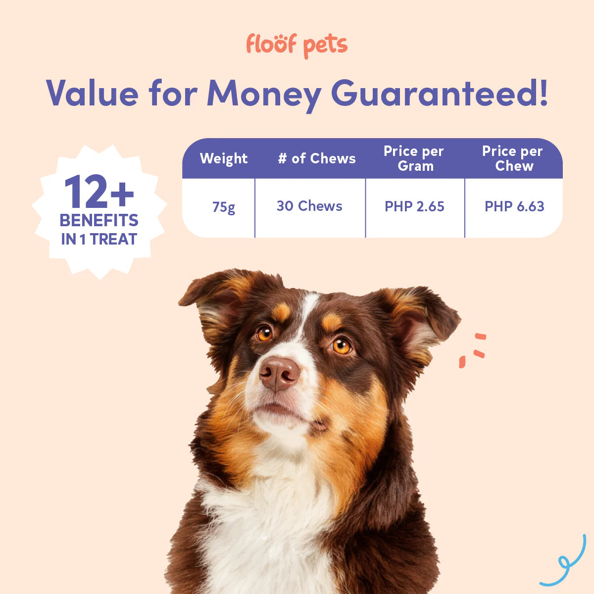 Floof Pets - All Furr One Calming Bites for Dogs 300g