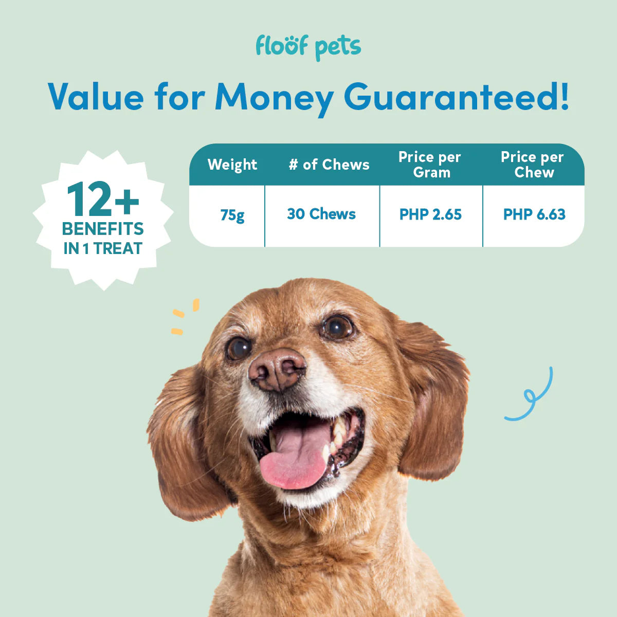 Floof Pets - All Furr One Senior Dog Multivitamins 300g