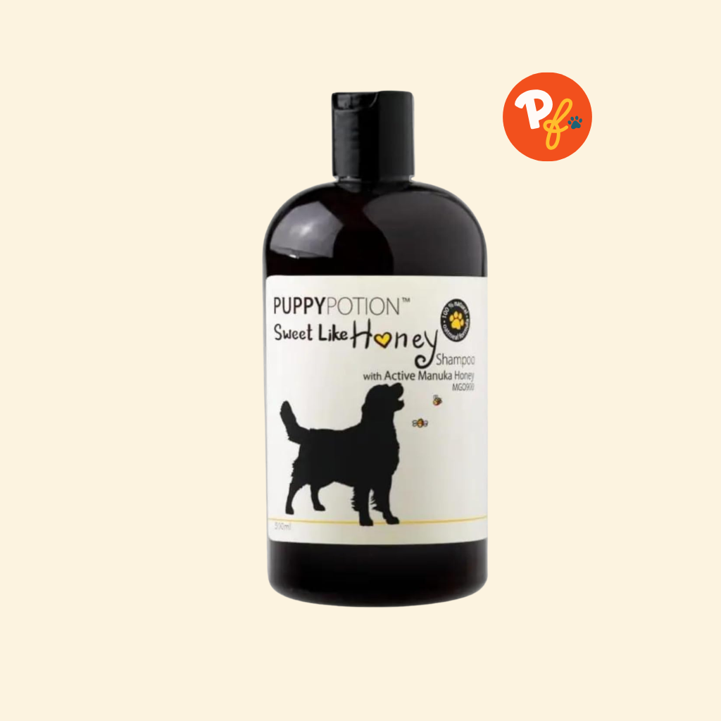 Doggy Potion - Sweet Like Honey Shampoo 500ml