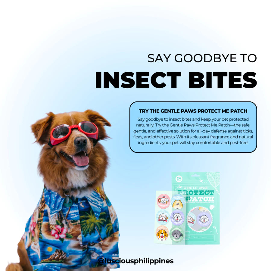Gentle Paws Protect Me Patch: Protect and soothe your pet’s skin with this patch.