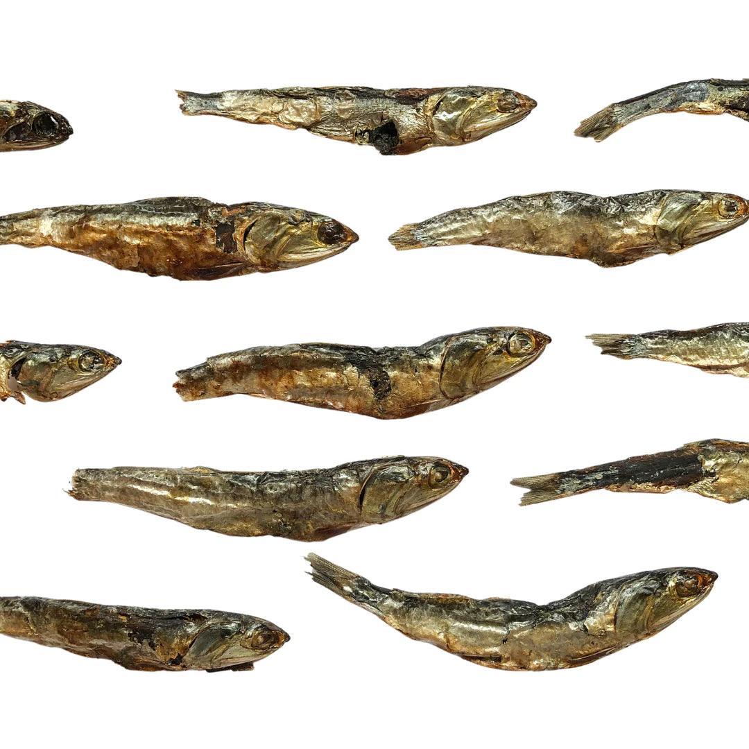 Treat your pet to the savory goodness of Harley's White Anchovies, available at Pet Food Online. These Hard Chew Dog Treats and Hard Chew Cat Treats offer a unique and satisfying chewing experience. Choose quality and flavor for your furry friend's delight with Harley's White Anchovies.