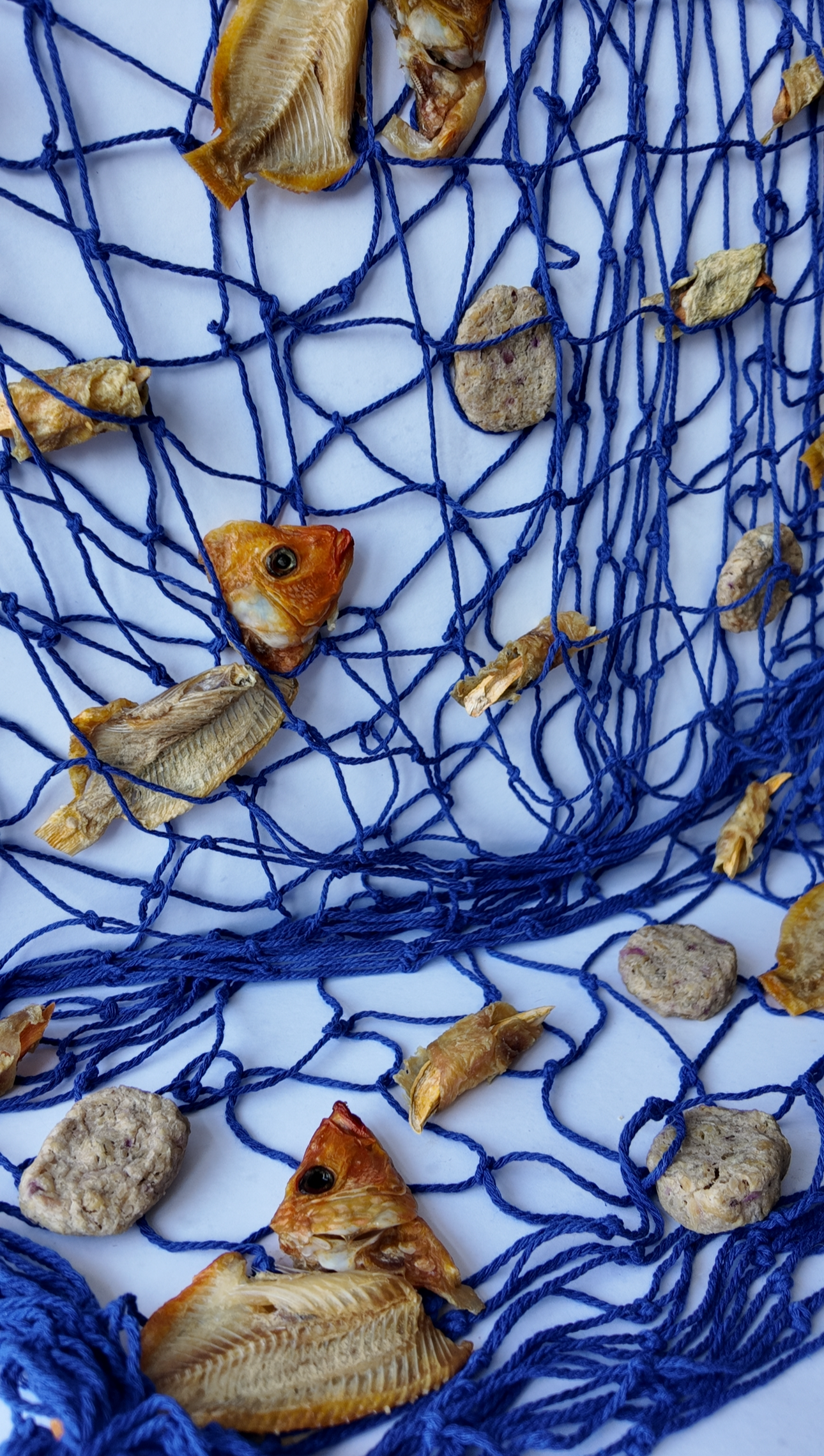 Friendly Nom's - Zero Waste Tilapia