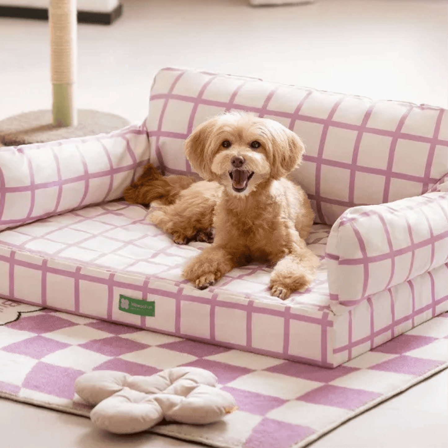 Discover serenity in Mewoo's Lavender Waterproof Pet Bed – a haven for dogs and cats alike. Explore our exquisite collection of pet beds designed for comfort and durability. Elevate your pet's sleep experience with this stylish and waterproof bed, ensuring a cozy retreat for your furry friend.