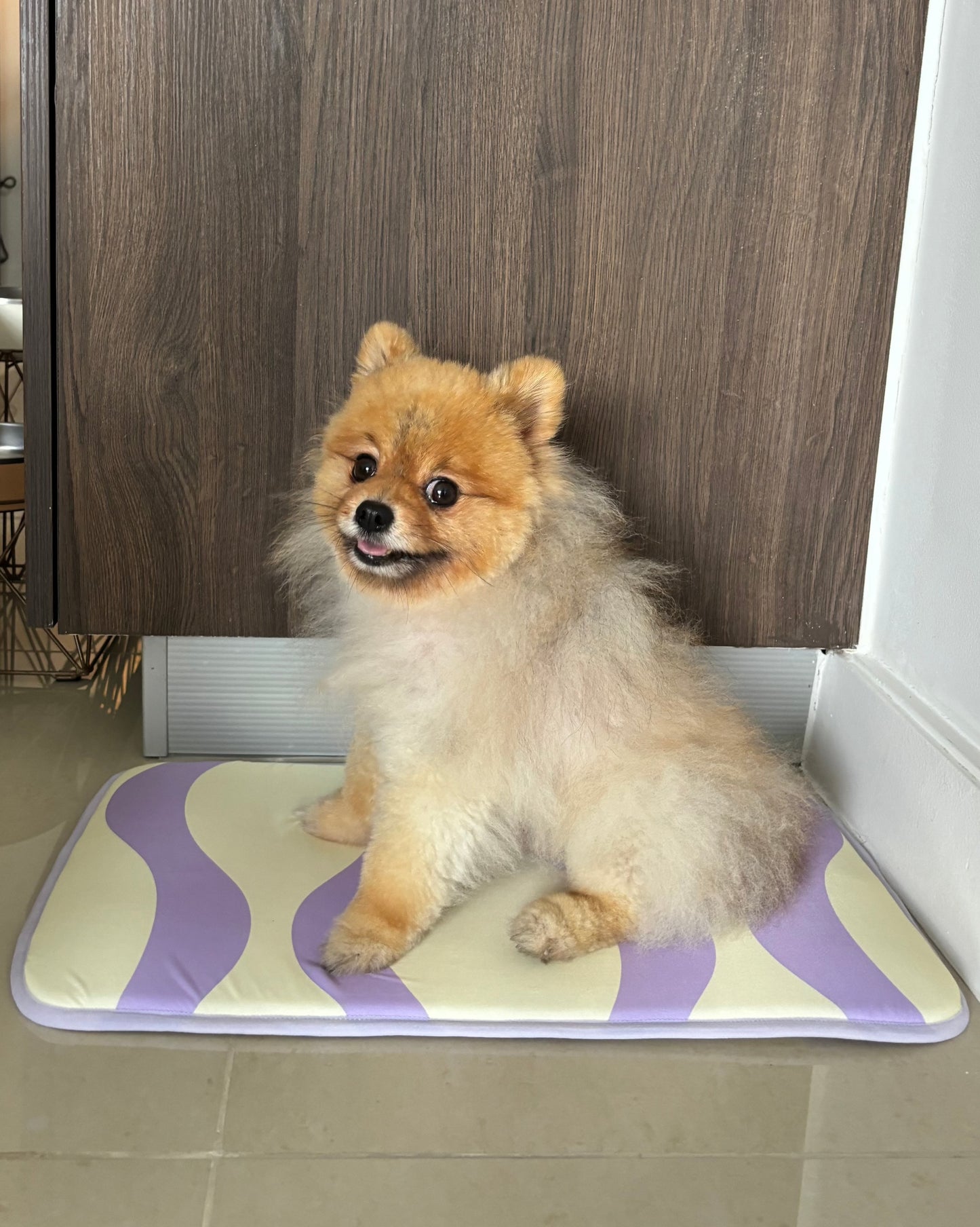 Introducing Mewoo's Cool Paws Pet Mat – the perfect fusion of style and comfort for your cat. Explore our cat bed and furniture collection, featuring this cooling cat mat designed for ultimate relaxation. Elevate your cat's living space with Mewoo's premium cat items, ensuring both chic aesthetics and soothing comfort.