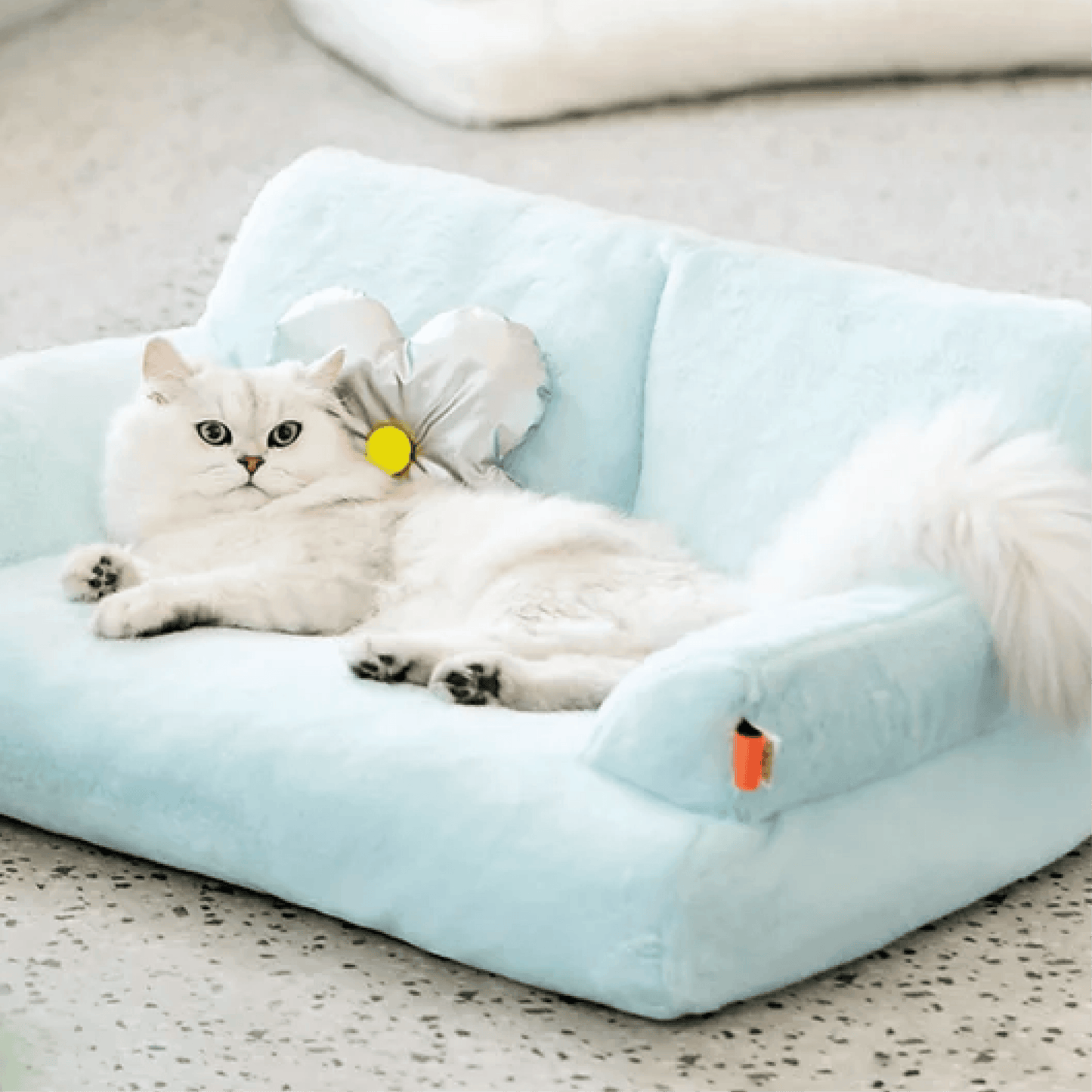 Elevate your pet's comfort with Mewoo's Sky Cloud Bed. Explore our premium collection of pet beds suitable for dogs and cats. Provide your furry friend with a cozy and stylish retreat, ensuring restful sleep and ultimate relaxation. Choose Mewoo for the perfect blend of comfort and sophistication in pet bedding.