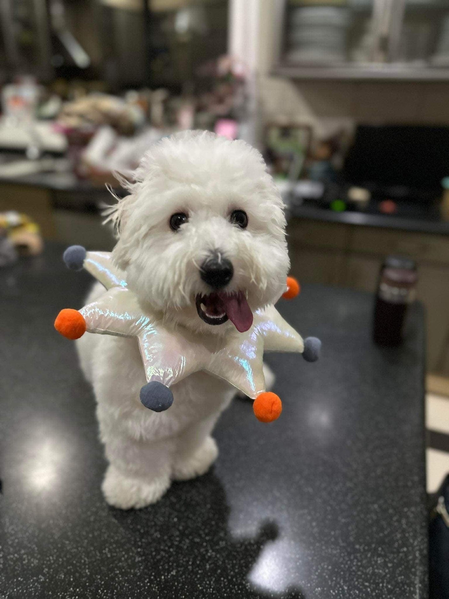 Experience comfort and style with Mewoo's Waterproof Collar Circus - the ideal E-Collar for your pet. Explore our premium collection of pet collars, combining functionality with a touch of costume flair. Elevate your pet's recovery in style with Mewoo's innovative and waterproof E-Collar.