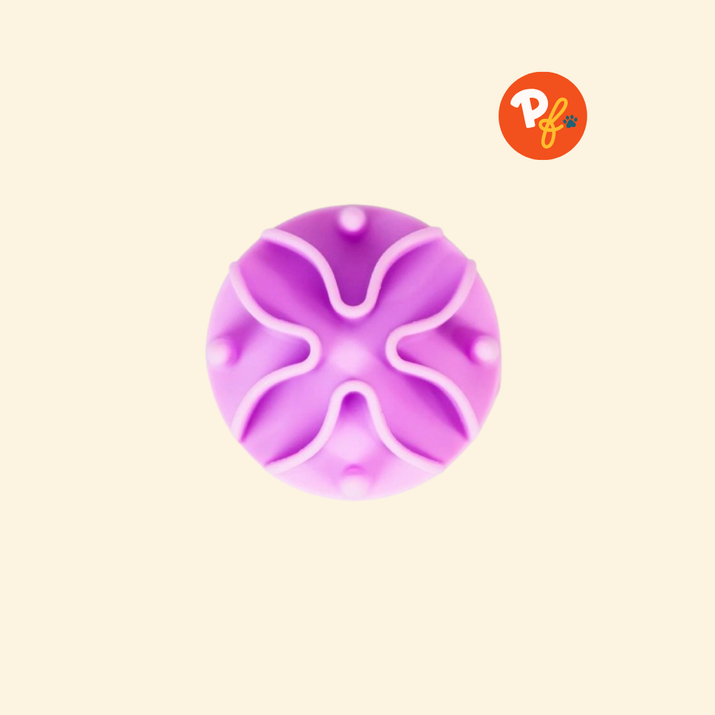 Buy Ollie Bowls Slow Feeder Pet Friendly's PH - Main Image