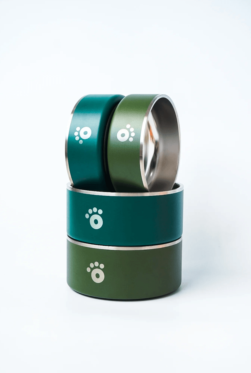 Ollie Bowls - Pet Friendly's PH