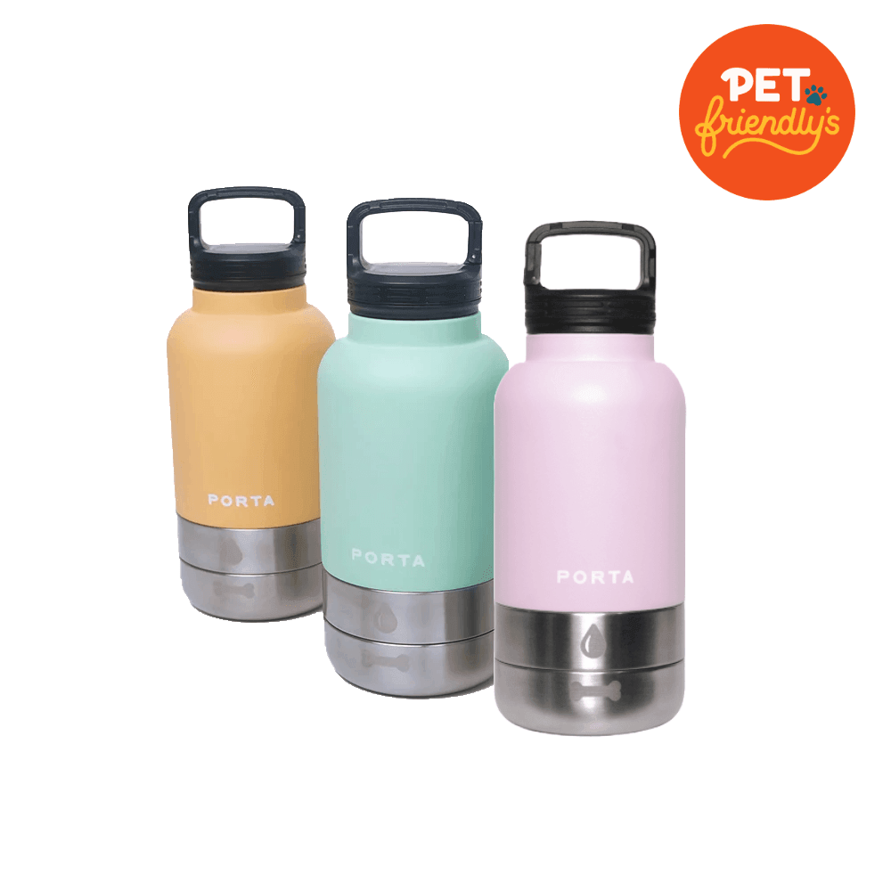 Porta - 32oz Water Bottle & Bowl (Orange Creamsicle) - Pet Friendly's PH