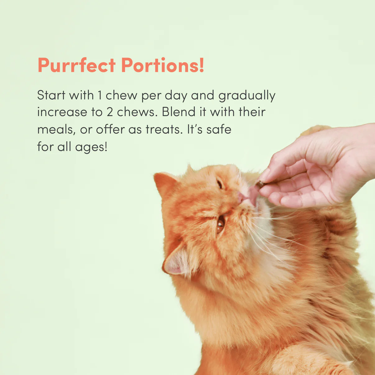 Floof Pets - All Furr One Cat Multivitamins (210g)