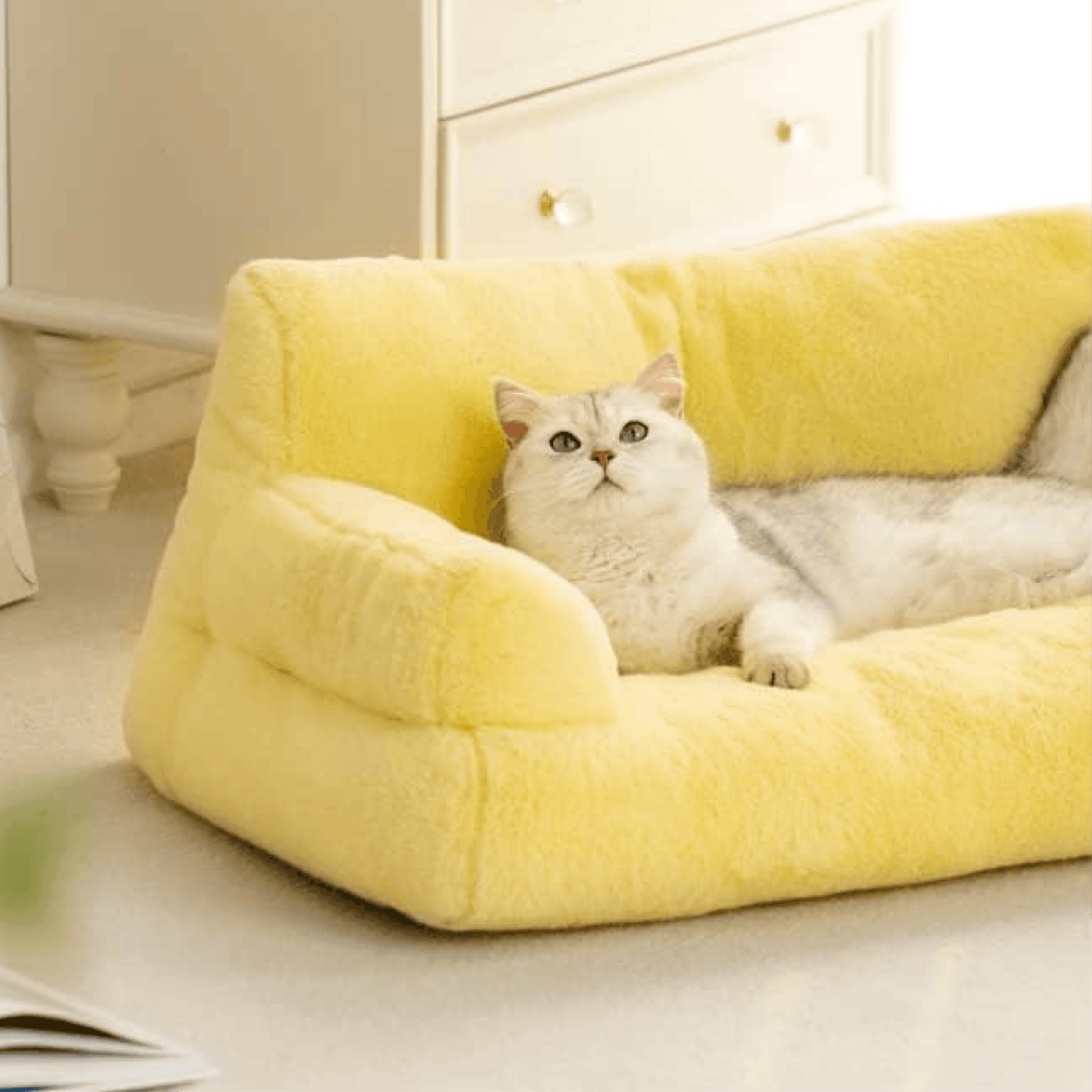 Let your pet bask in comfort with Mewoo's Sunshine Cloud Pet Bed. Explore our premium collection of pet beds suitable for dogs and cats. Elevate your furry friend's relaxation with this cozy and stylish bed, ensuring a perfect retreat for restful sleep. Choose Mewoo for the ultimate blend of comfort and sophistication in pet bedding.