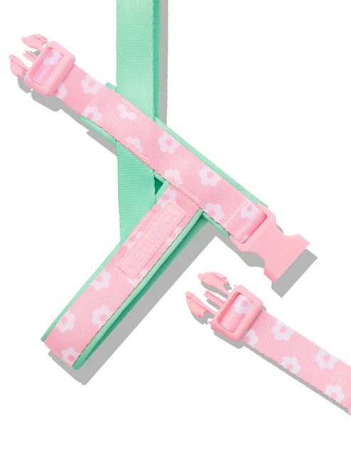 Vetreska Flora Harness and Leash: Soft and stylish floral harness and leash set for pets.