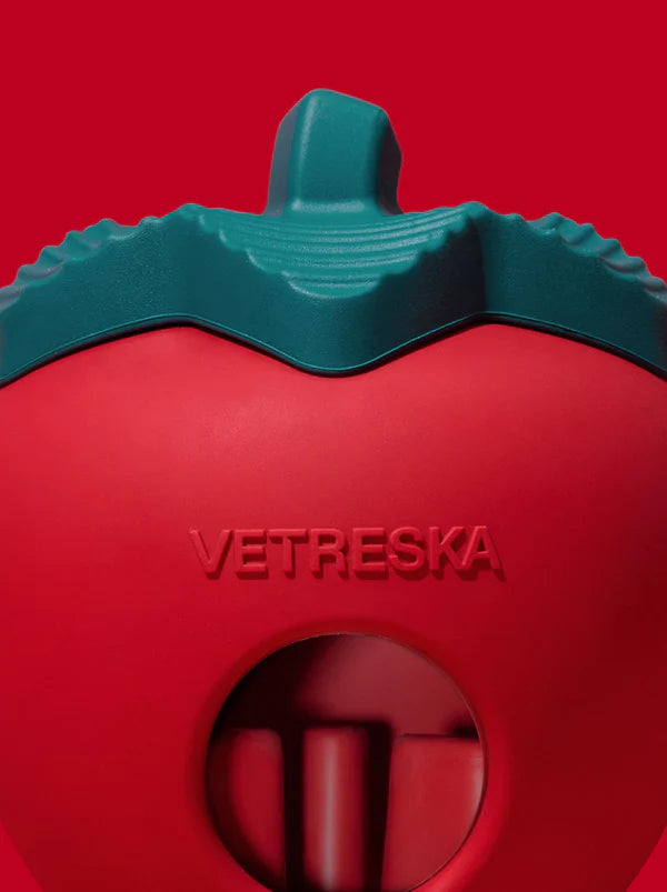 VETRESKA Strawberry Pet Treat Dispensing Toy