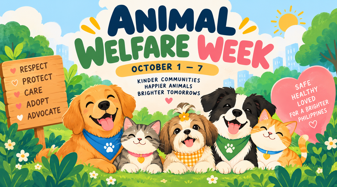 Animal Welfare Week in the Philippines: Why It Matters and How We Can Help 🐾🇵🇭