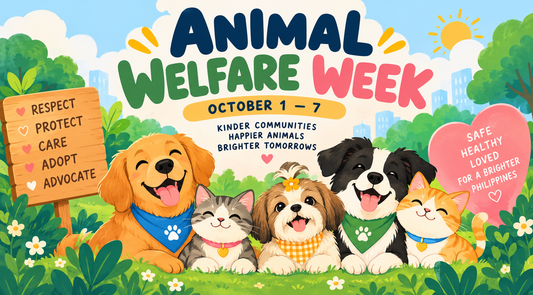 Animal Welfare Week in the Philippines: Why It Matters and How We Can Help 🐾🇵🇭