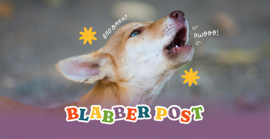 Blabber Post 1 - Underworld’s Watchdog: The Mythical Role of Dogs in the Afterlife