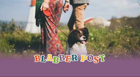 5 Things Filipino Pet Parents Always Forget to Bring on Outings