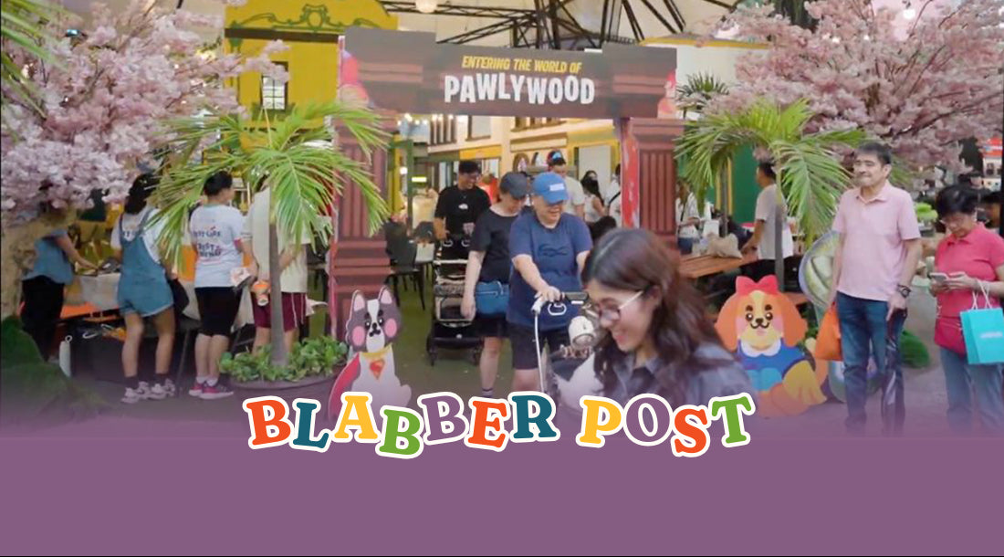 Recap: Entering the World of Pawlywood