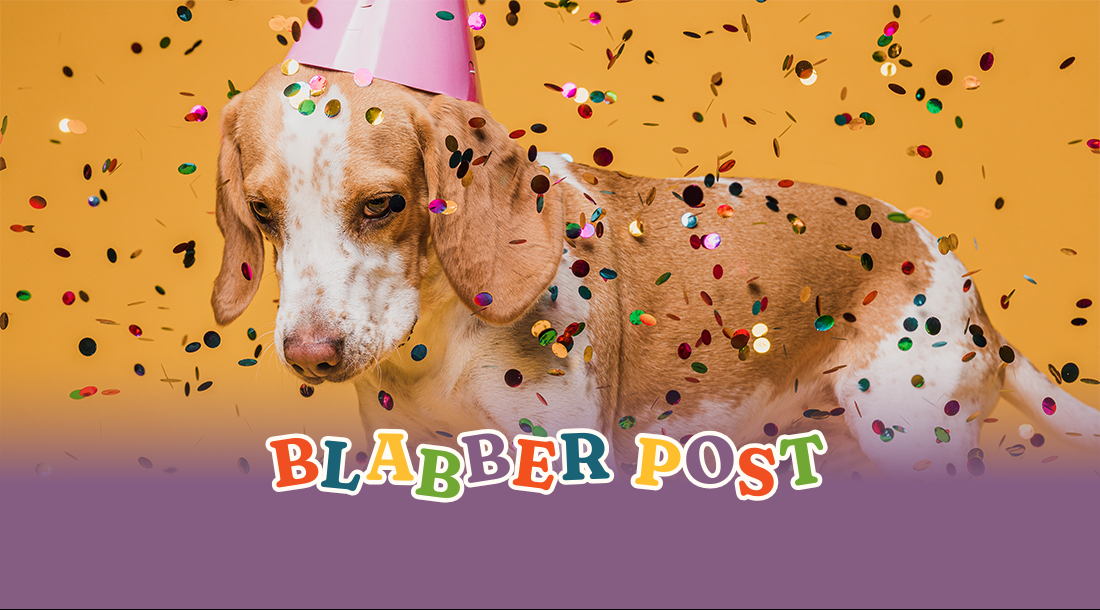 Pet Fiesta Culture in the Philippines: Why Community Events Matter More Than Ever