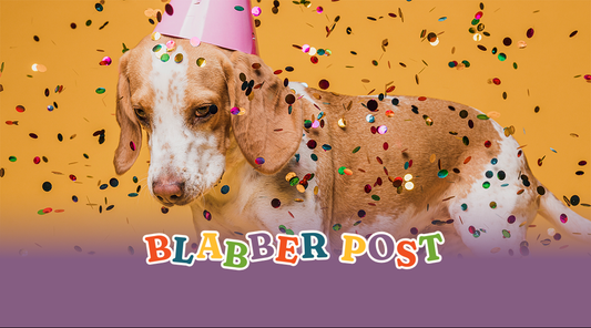 Pet Fiesta Culture in the Philippines: Why Community Events Matter More Than Ever