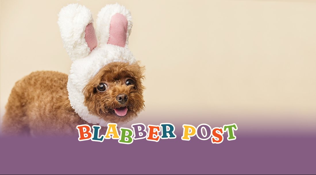Ultimate Guide to Pet-Friendly Easter Activities in 2026