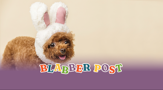 Ultimate Guide to Pet-Friendly Easter Activities in 2026