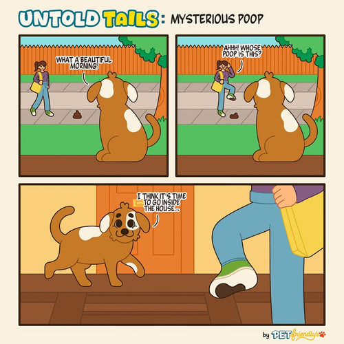 Ep 11 Untold Tails: Mysterious Poop