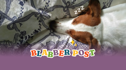 Blabber Post 3 - My Comforter: How I get rid of my Nyctophobia