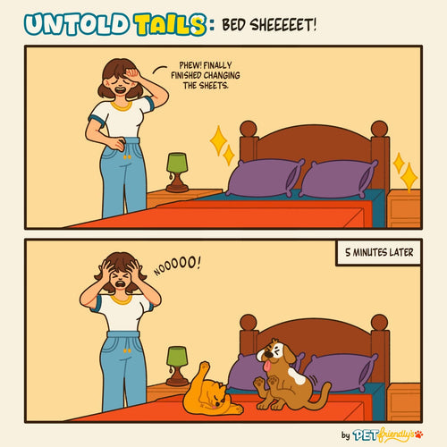 Ep 5 Untold Tails: Bed Sheeeet!