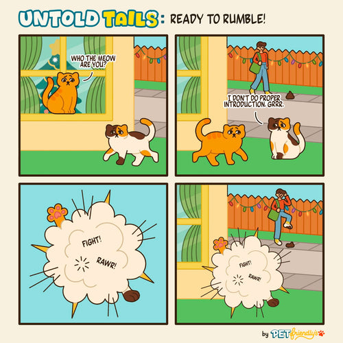 Ep 6 Untold Tails: Ready To Rumble!