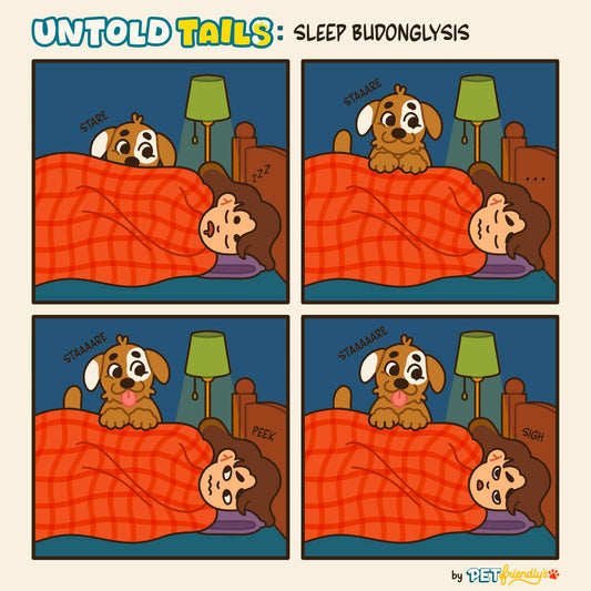 Ep 3 Untold Tails: Sleep Budonglysis