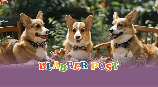 🥕🐶 Healthy Filipino Food You Can Share With Your Dog (2026 Guide)
