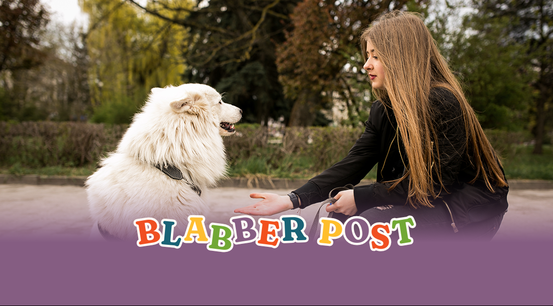 10 Ways to Try Something New With Your Dog This Year