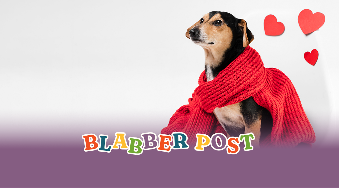 Valentines Day Blog 2026