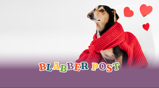 Valentines Day Blog 2026