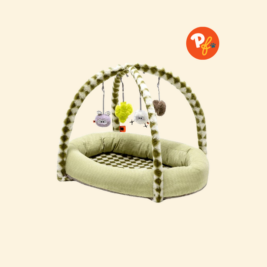 Mewoo - Playful Paws Pet Activity Cushion