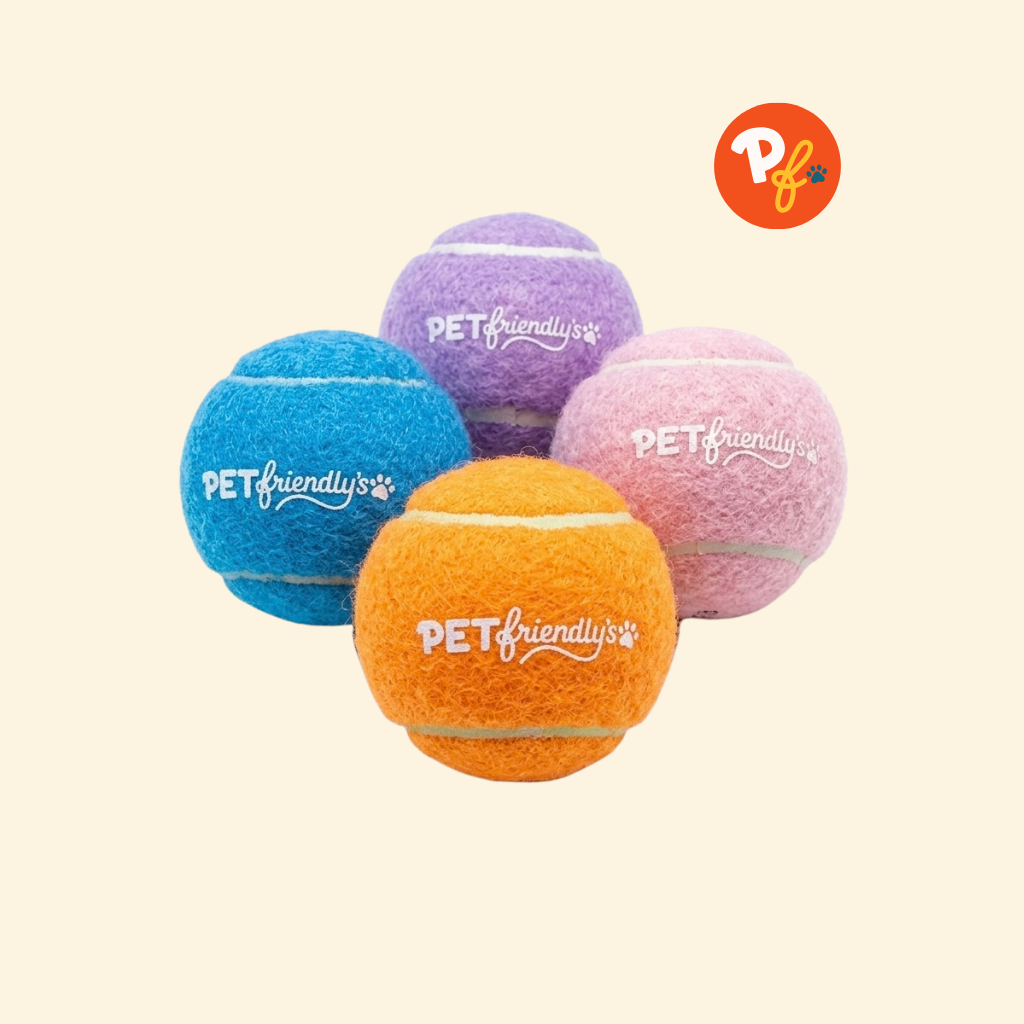 Pet Friendly's - Squeaky Ball