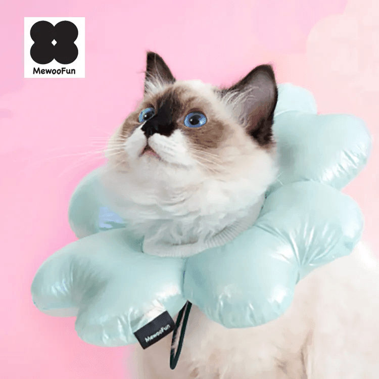 Experience comfort and style with Mewoo's Waterproof Collar Four Leaf - the ideal E-Collar for your pet. Explore our premium collection of pet collars, combining functionality with a touch of costume flair. Elevate your pet's recovery in style with Mewoo's innovative and waterproof E-Collar.