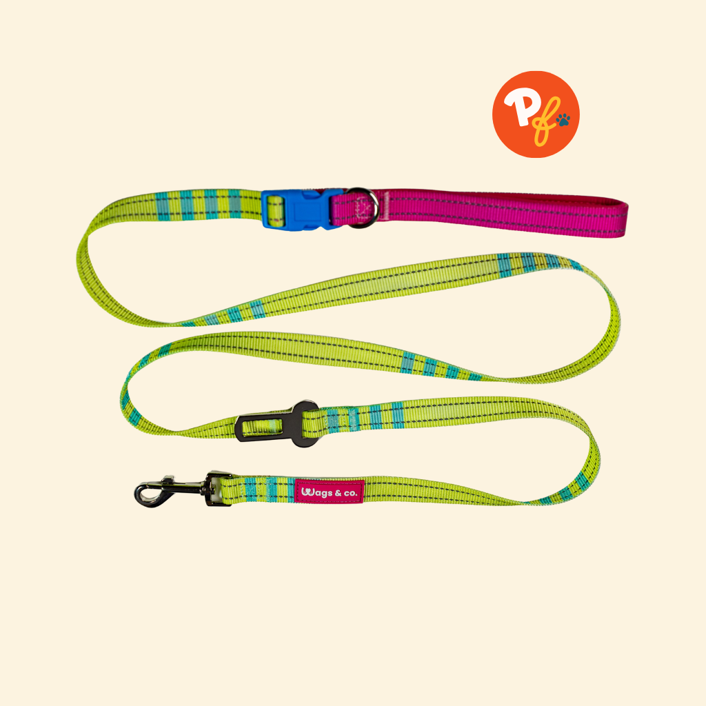 Wags & Co. - Easy Shift Leash
