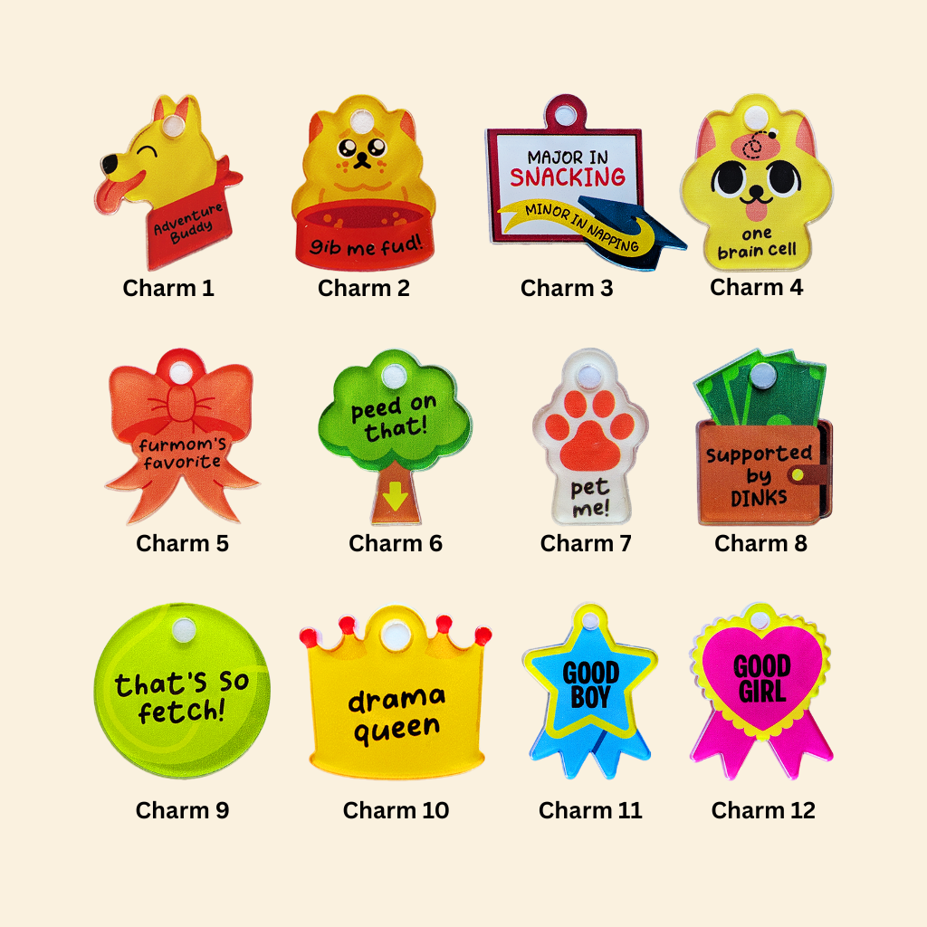 Customizable Pet Necklace