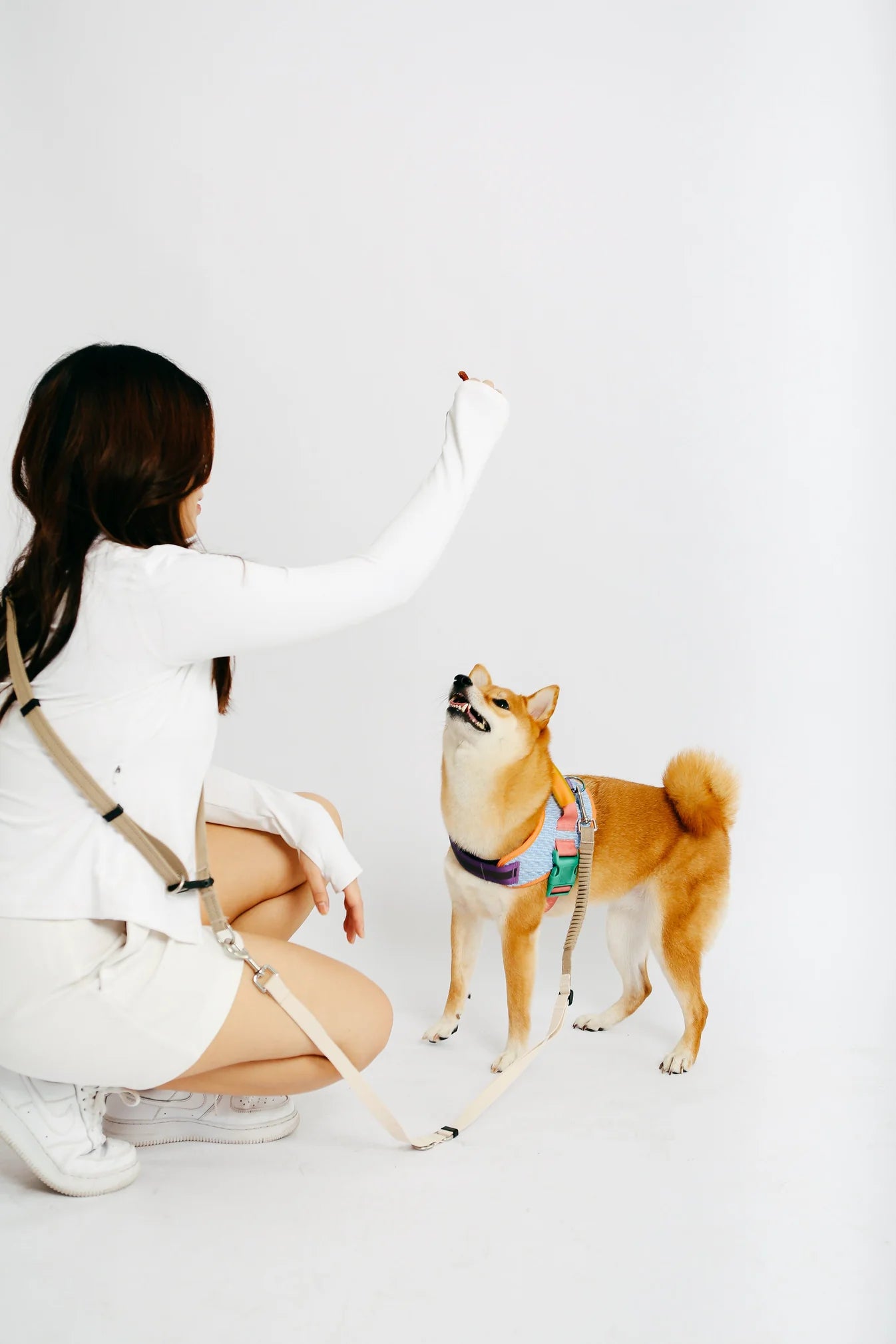 The GoodPal - Multi-way Hands-Free Leash