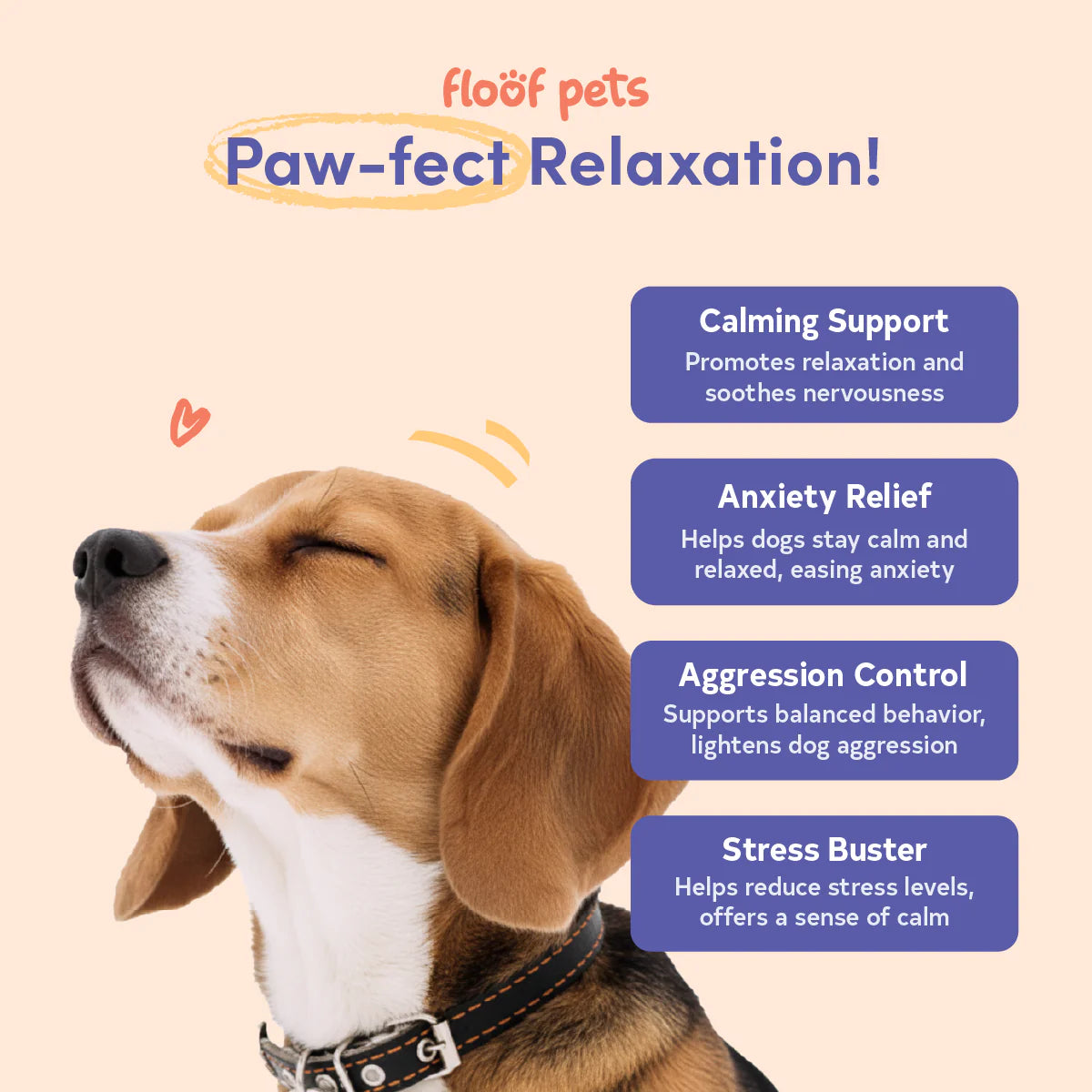 Floof Pets - All Furr One Calming Bites for Dogs 300g