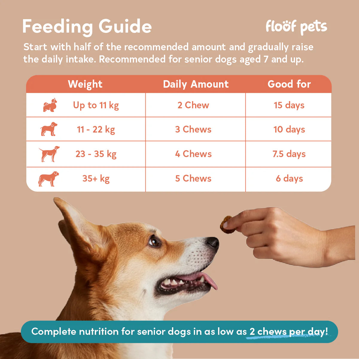 Floof Pets - All Furr One Senior Dog Multivitamins 300g