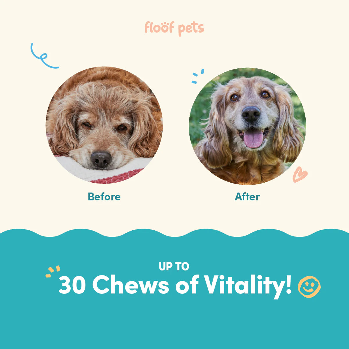 Floof Pets - All Furr One Senior Dog Multivitamins 300g
