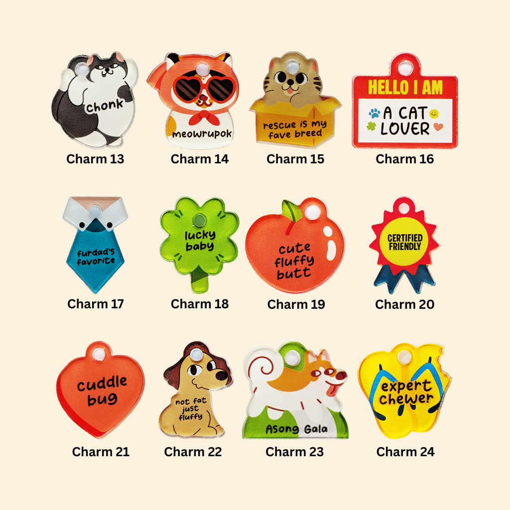 Customizable Pet Necklace