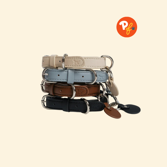 Sunday Pets Club - The City Collar