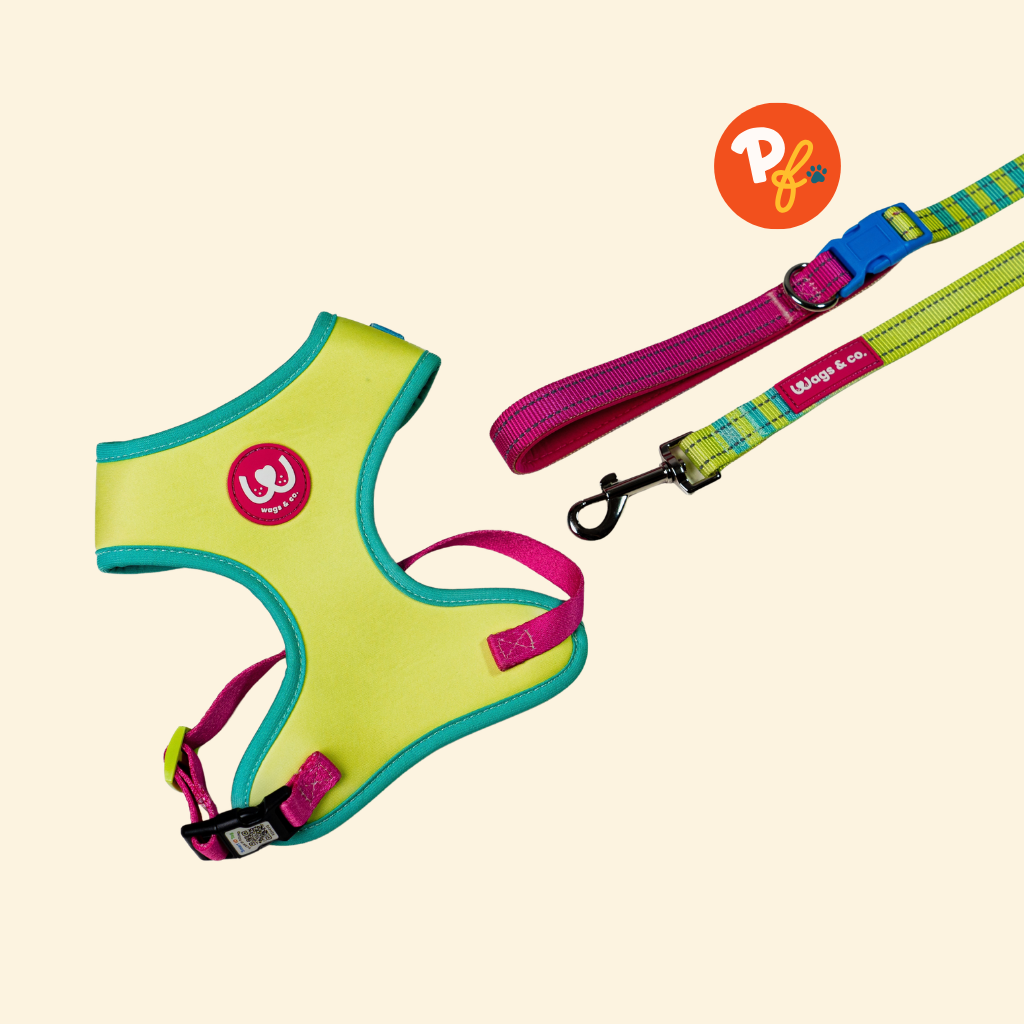 Wags & Co. - The Smart Set (Cloud Tag Harness + Easy Shift Leash)