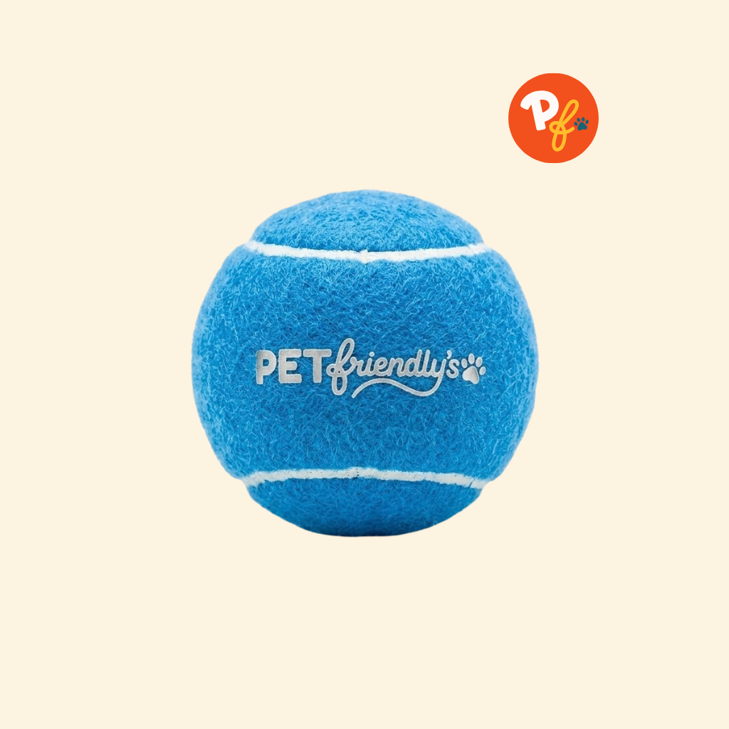 Pet Friendly's - Squeaky Ball